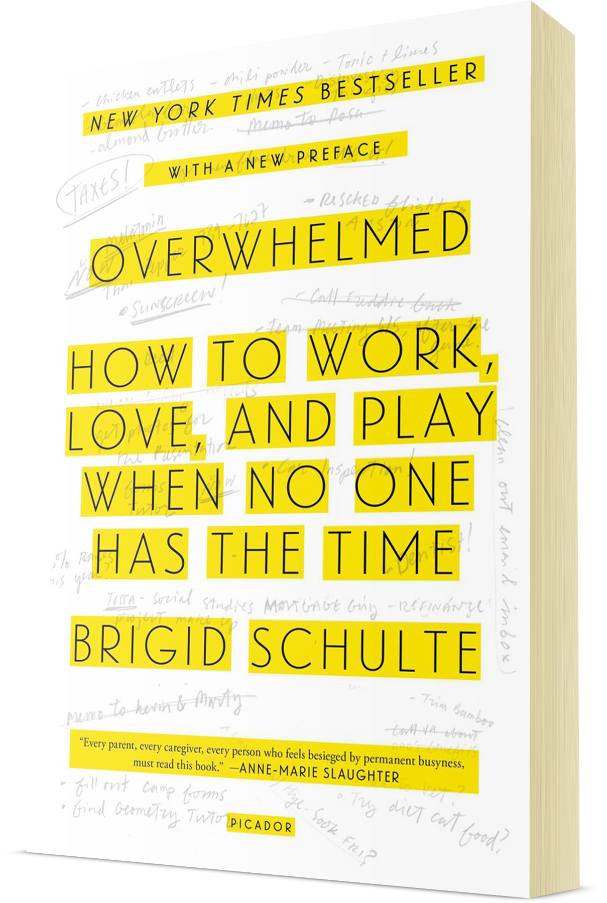overwhelmed_book